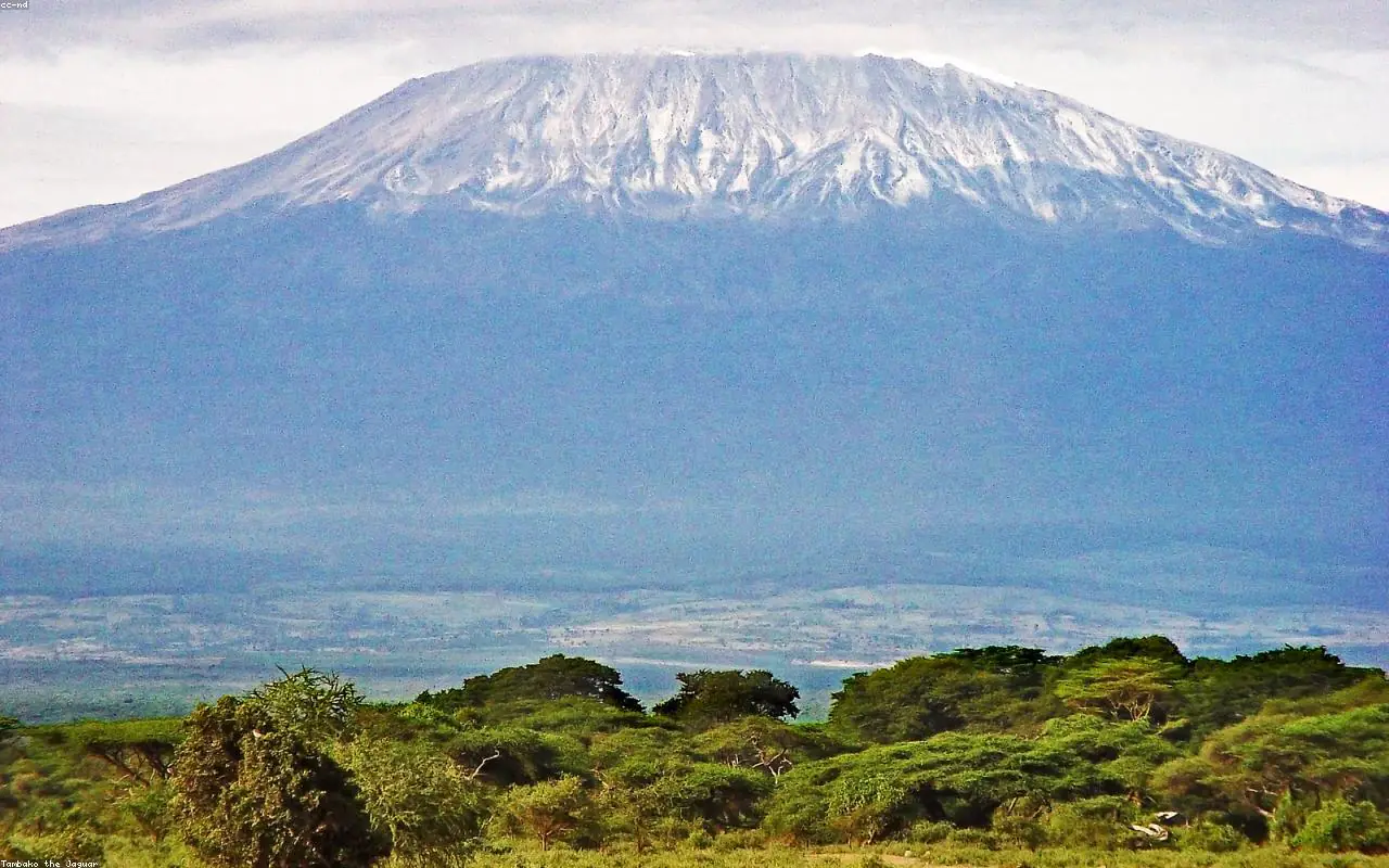 Kilimanjaro Climb